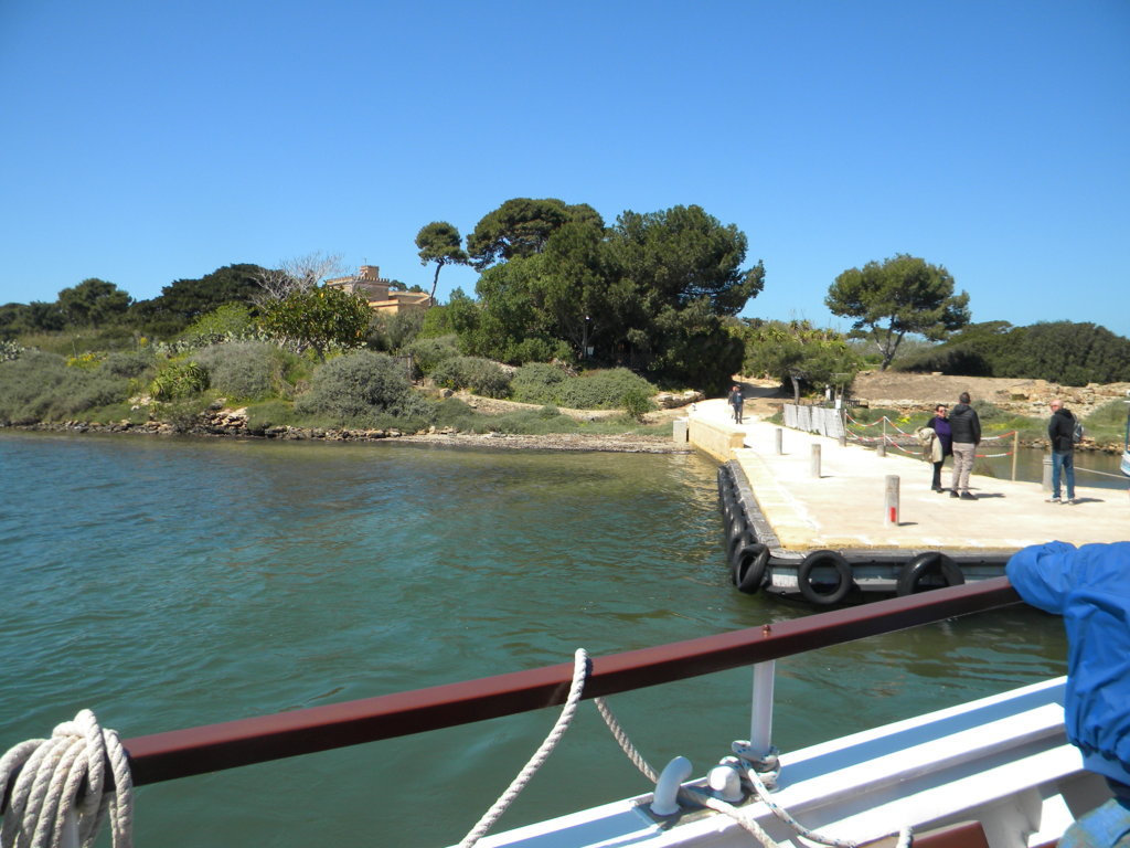 DSCN1896 (FILEminimizer).JPG